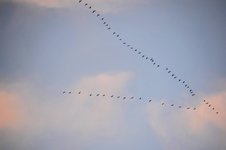 DSC_0052-EDIT.jpg