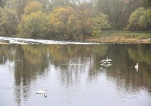 DSC_0004-EDIT.jpg