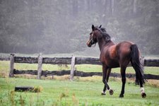 DSC_0184-EDIT.jpg