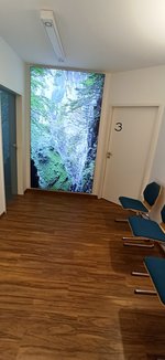 IMG_20231129_085250.jpg