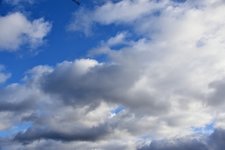 DSC_0001.JPG
