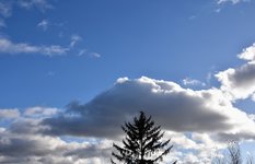 DSC_0002.JPG