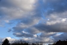 DSC_0007.JPG