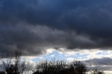 DSC_0011.JPG