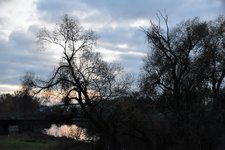 DSC_0057.JPG