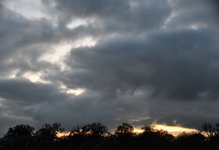 DSC_0070.JPG