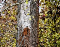 DSC_0013-EDIT.jpg