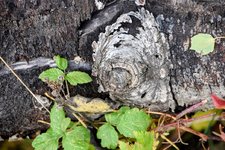 DSC_0020-EDIT.jpg