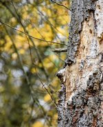 DSC_0018-EDIT.jpg