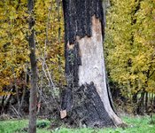DSC_0082-EDIT.jpg