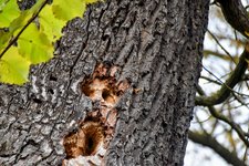 DSC_0095-EDIT.jpg