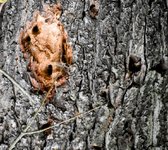 DSC_0093-EDIT.jpg