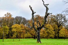 DSC_0073-EDIT-EDIT.jpg