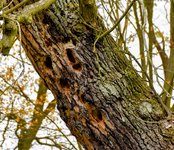 DSC_0066-EDIT-EDIT.jpg