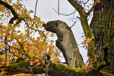 DSC_0134-EDIT.jpg