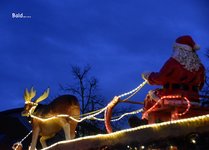 DSC_0339.JPG