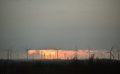 DSC_0264.JPG