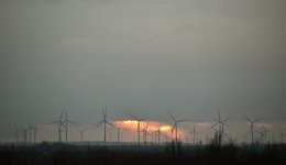 DSC_0286.JPG