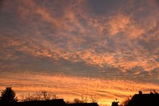 DSC_0001.JPG