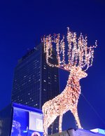 DSC_0340.JPG