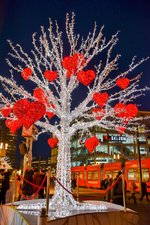 DSC_0341-EDIT.jpg