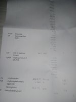 IMG_20241216_115607765_MFNR.jpg