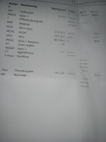 IMG_20241216_115456075_MFNR.jpg