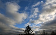 DSC_0002.JPG