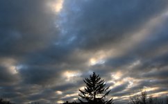 DSC_0008.JPG