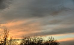 DSC_0021 (1).JPG