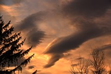 DSC_0017.JPG
