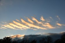DSC_0021.JPG