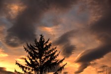 DSC_0014.JPG
