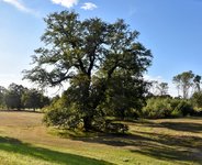 DSC_0374-EDIT.jpg