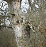DSC_0196.JPG