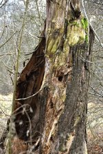 DSC_0221.JPG
