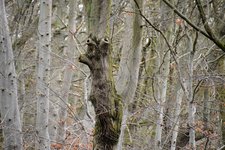DSC_0024.JPG
