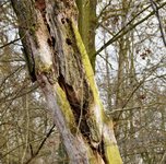 DSC_0124.JPG