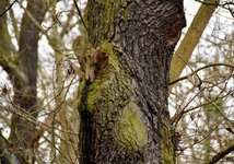 DSC_0072.JPG