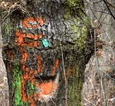 DSC_0074.JPG