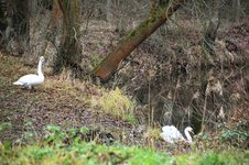 DSC_0035.JPG