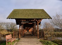 DSC_0080.JPG