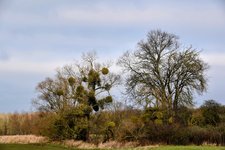 DSC_0092-EDIT.jpg