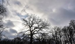 DSC_0105-EDIT.jpg