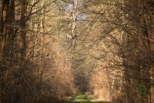 DSC_0113.JPG