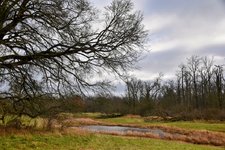 DSC_0159-EDIT.jpg