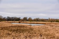 DSC_0174-EDIT.jpg