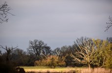 DSC_0161.JPG