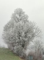 IMG_20250101_170314.jpg