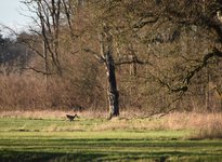 DSC_0256.JPG